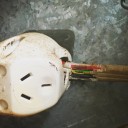 Rodents and Electrical Wiring